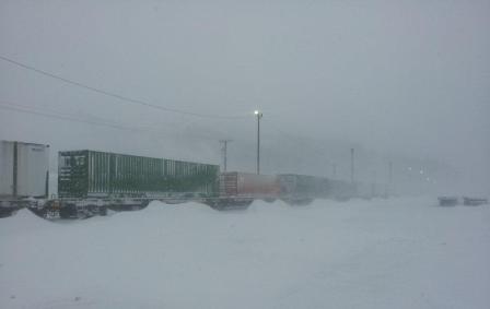 snowy trains
