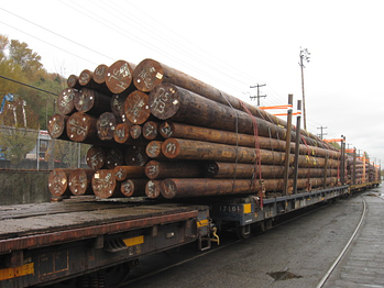 Wood poles