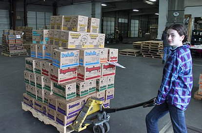 A girl scout helps out with the process