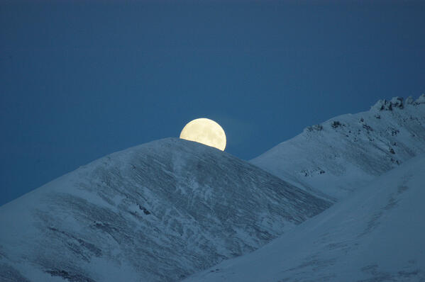 Moonscape