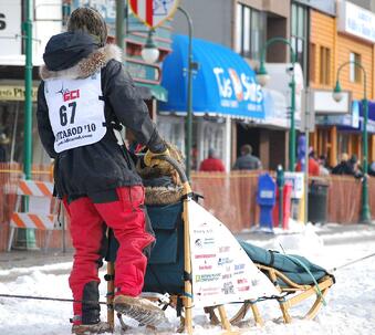 2010 Iditarod - Peter Kaiser on sled