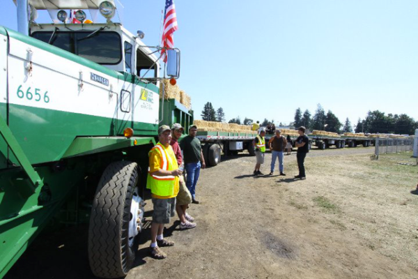 Lynden volunteers
