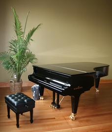 Schimmel Piano