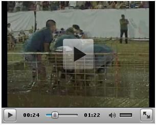 Jerome County Fair - LTI pig wrestlers video