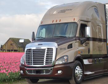 Brown Line truck in tulip field