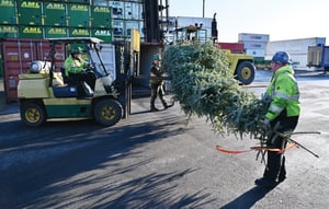 Governors Christmas Tree being loaded