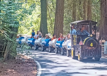 Lynden picnic train